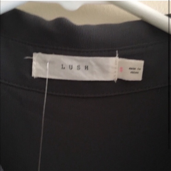 Steel Gray Sheer Sleeveless Tunic Length Button Down Blouse - Picture 4 of 5